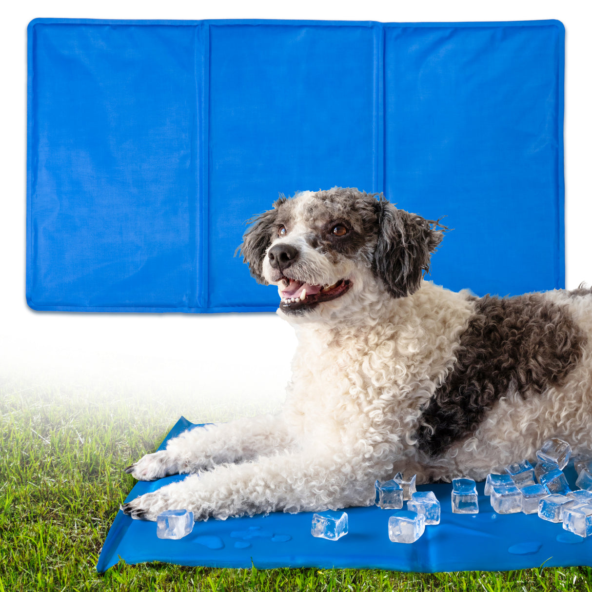 Mata Chłodząca dla Psa i Kota XXL