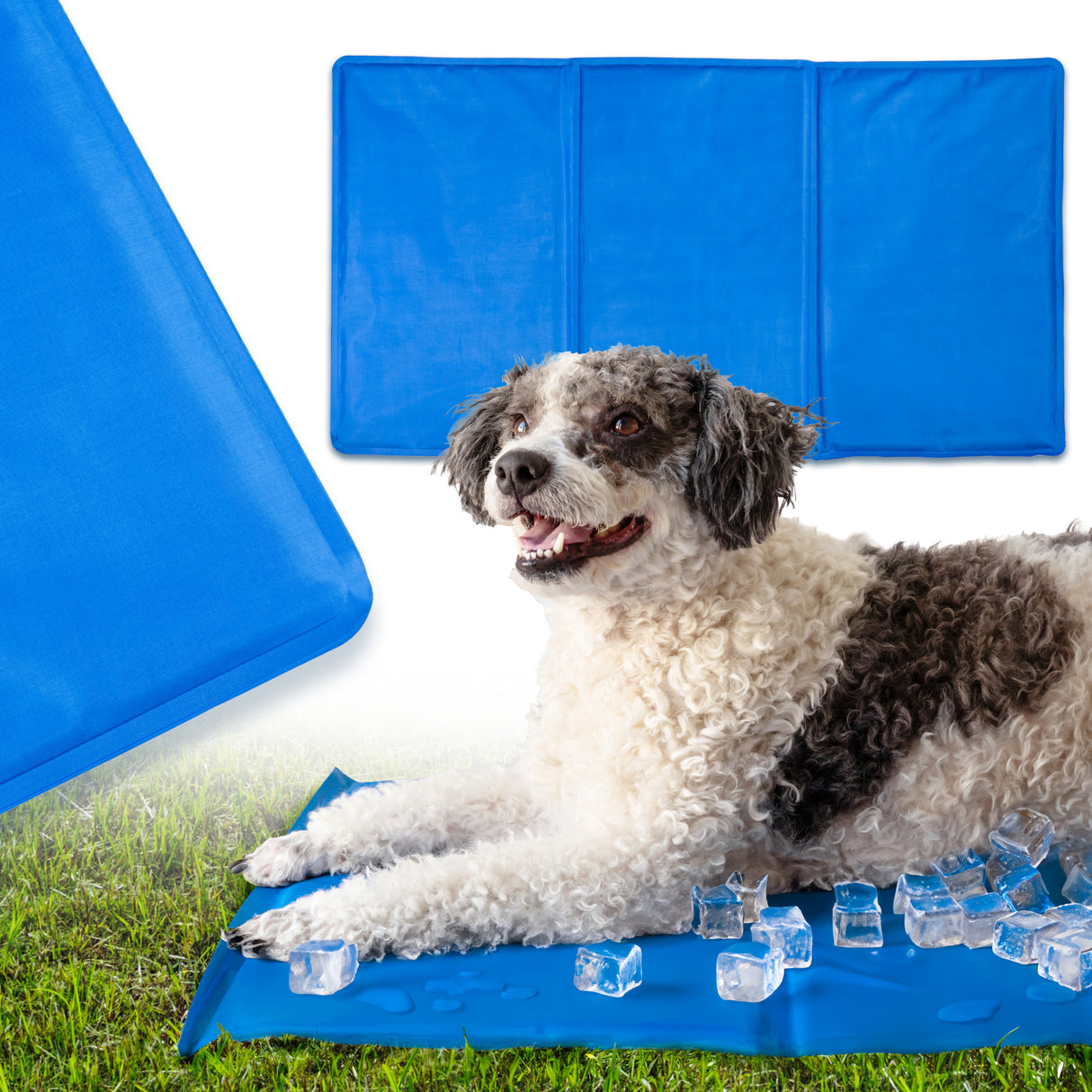 Mata Chłodząca dla Psa i Kota XXL