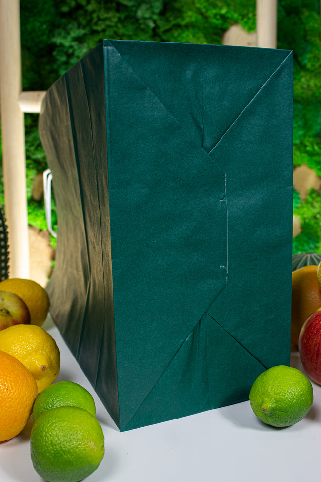 Torba papierowa 305x170x425mm Ciemnozielona