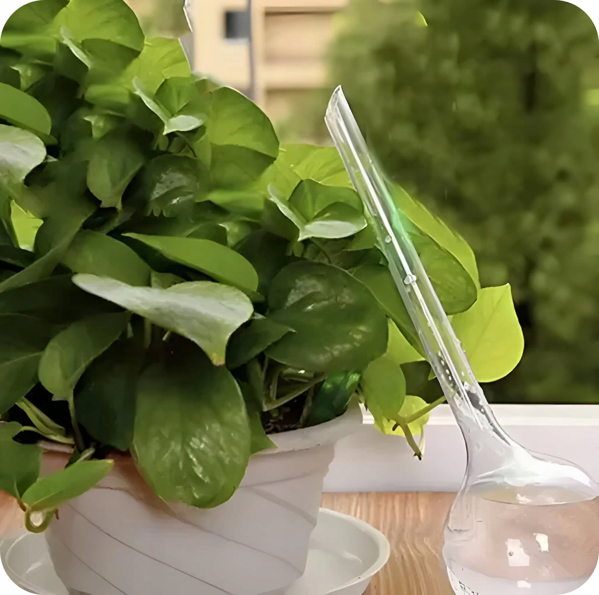 Kule Nawadniające do Roślin 8 szt.