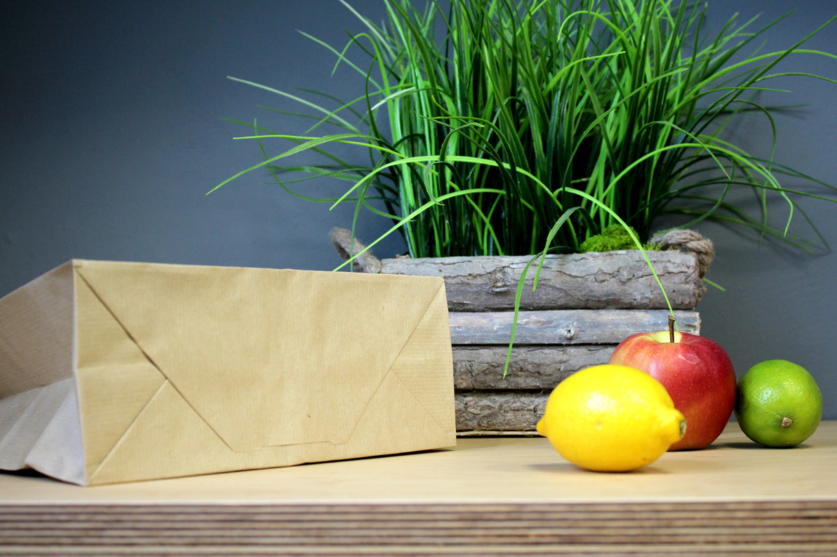 Torba Papierowa z Uchwytem Skręcanym 300x170x425mm Brązowa