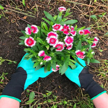 Rękawice ogrodowe pazurki grabki