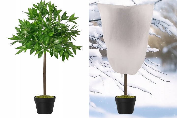 Zimowy kaptur ochronny na rośliny z agrowłókniny