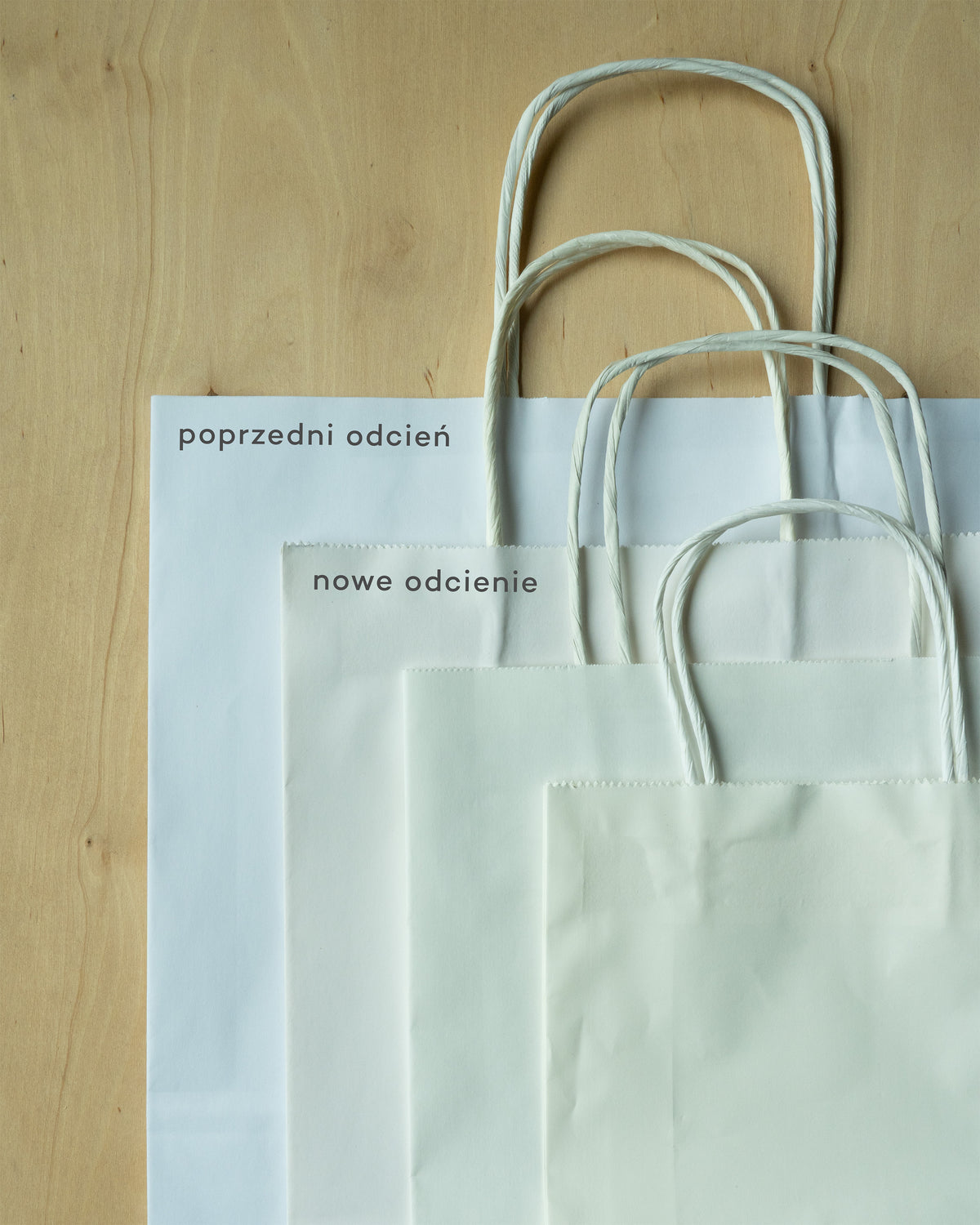 Torba Papierowa z Uchwytem Skręcanym 240x100x320mm - Biała