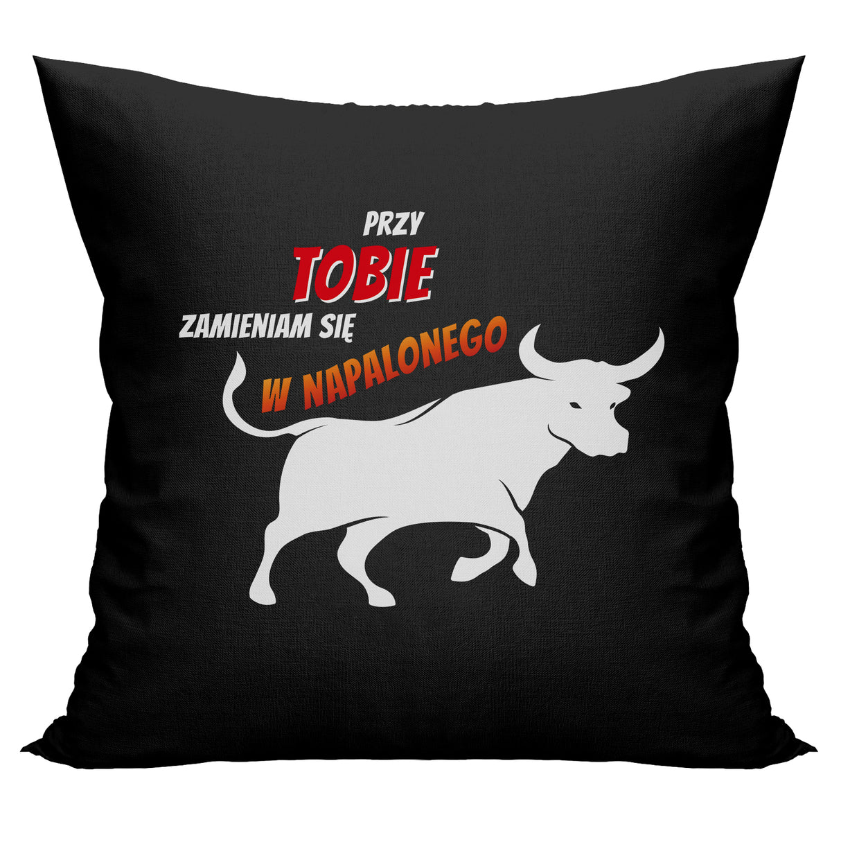 Prezent na walentynki - poduszka BYCZEK
