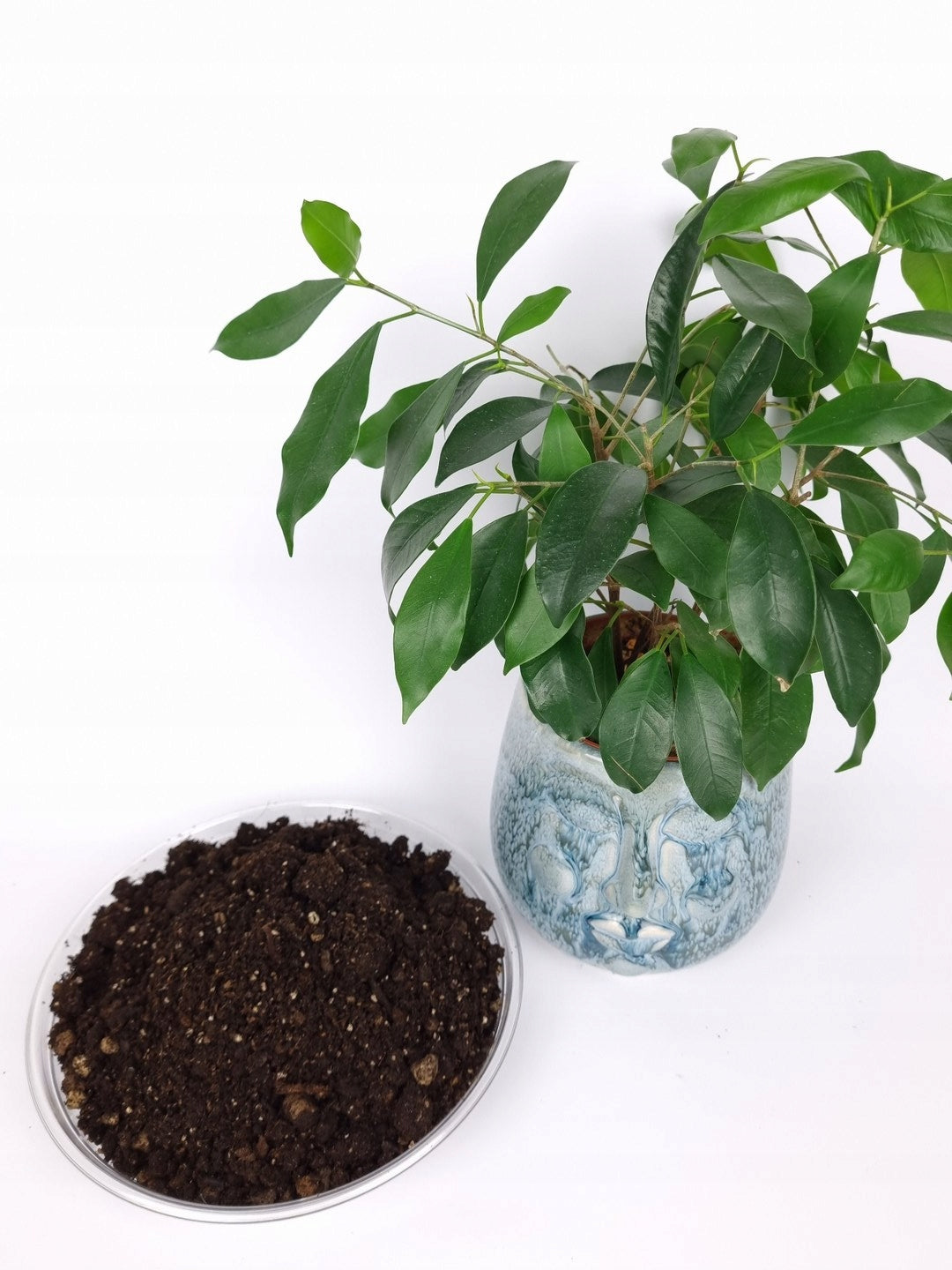 Ziemia do Roślin Bigos 20L