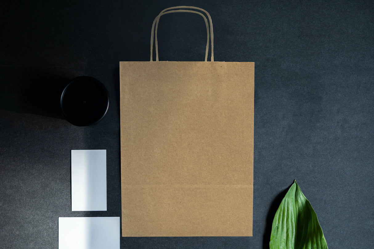 Torba papierowa z uchwytem skręcanym 240x100x320mm Brązowa