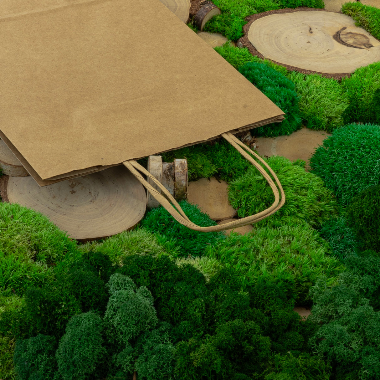 Torba papierowa z uchwytem skręcanym 240x100x320mm Brązowa