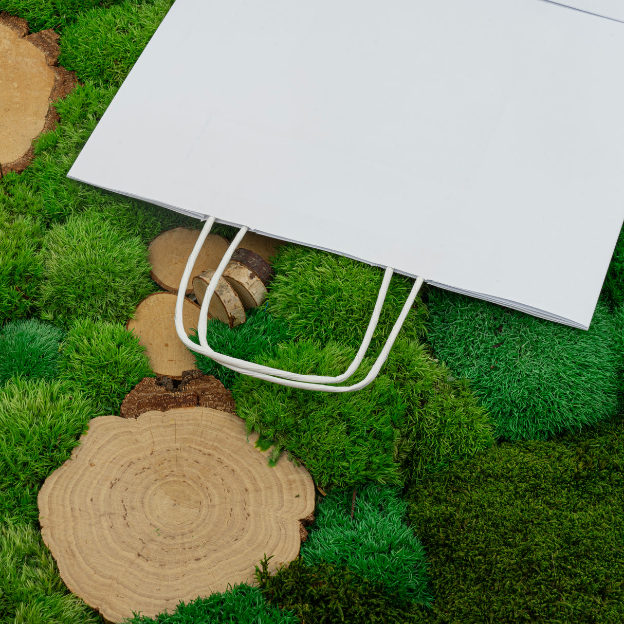 Torba papierowa z uchwytem skręcanym 320x120x410mm Biała