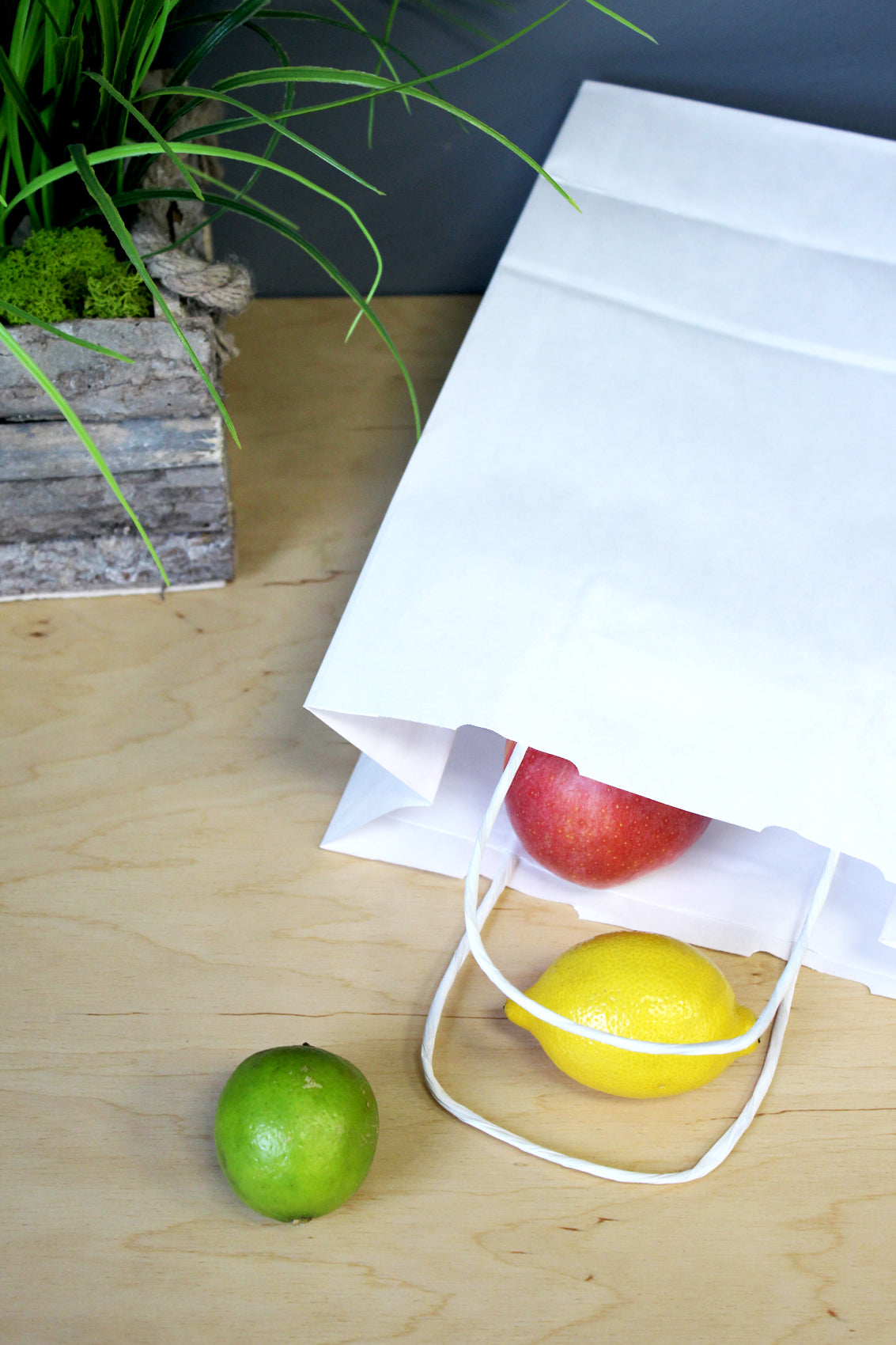 Torba papierowa z uchwytem skręcanym 240x100x320mm Biała