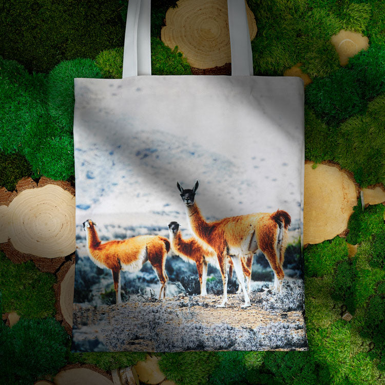 Torba bawełniana 350x450mm ALPAKI W ODDALI