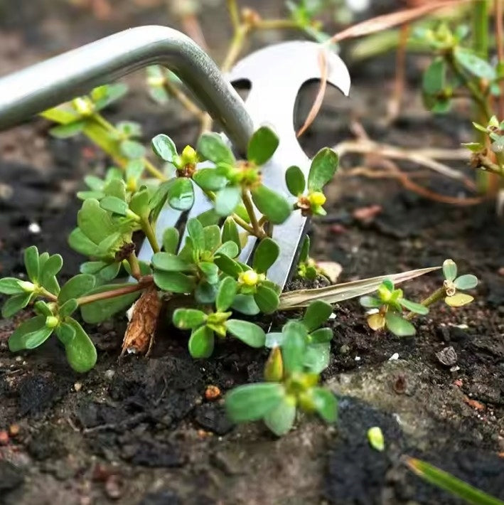 Ogrodowy wyrywacz do usuwania chwastów