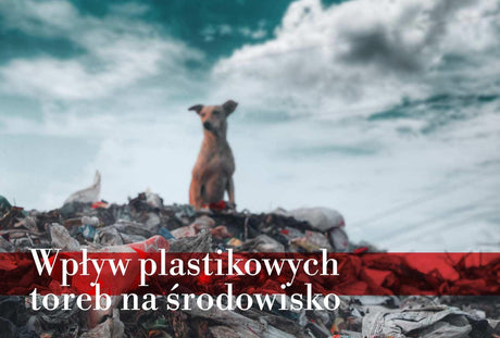 Torba papierowa czy materiałowa, która z nich jest bardziej przyjazna środowisku?