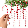 Świąteczne laski na choinkę Czerwono-białe 6 szt.