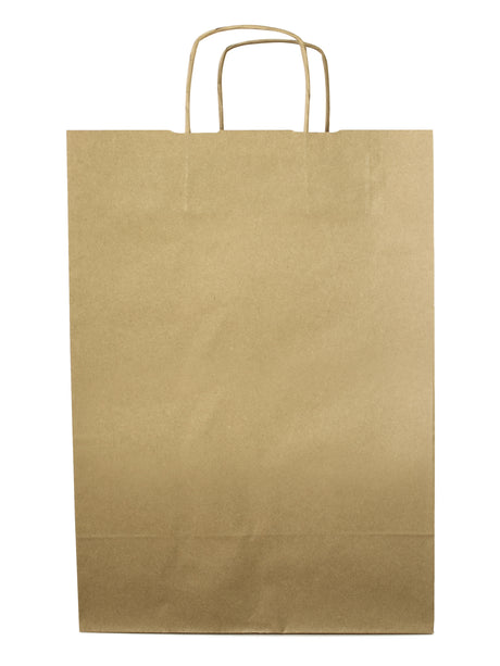 Torba papierowa 305x170x425mm z uchwytem skręcanym Brązowa