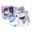 Interaktywny Pies Husky na Smyczy