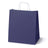 Torba Papierowa z Uchwytem Skręcanym 300x170x340mm - Granatowa Biały