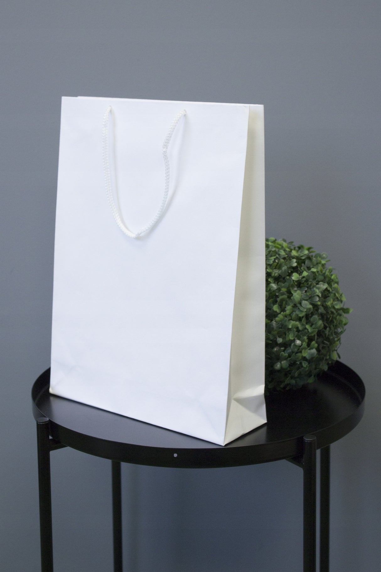 Torba papierowa 300x100x400mm ECO prestige Biała