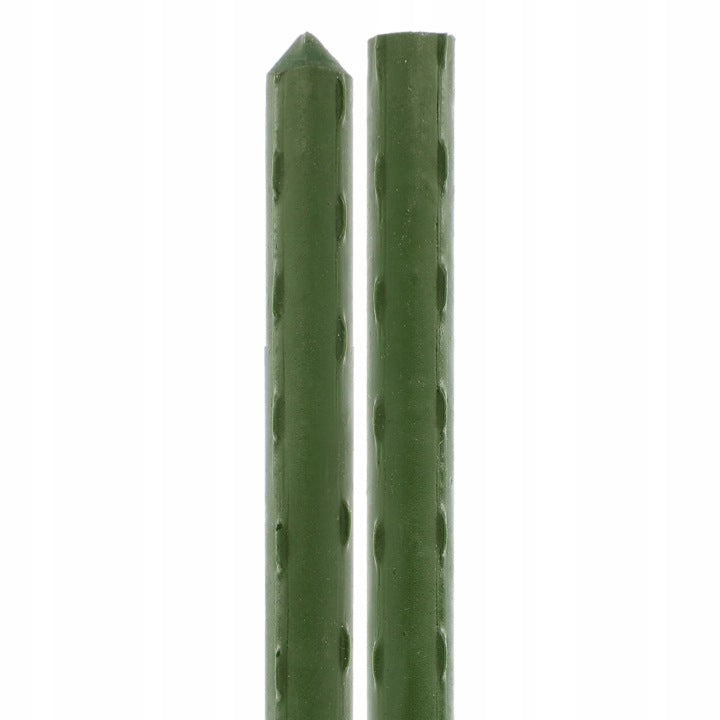 Tyczki ogrodowe do roślin 10 szt. 150cm