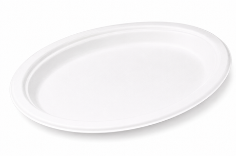 Talerz z trzciny cukrowej Owal 26 cm 50szt